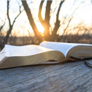 A bible sits on a wooden table, bathed in the light of the setting sun