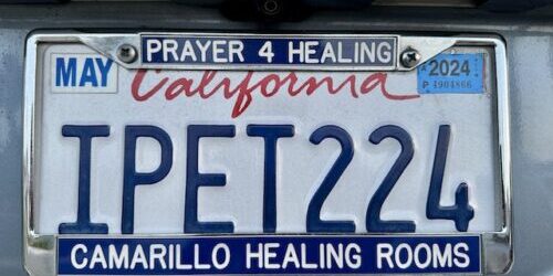 IPeter224